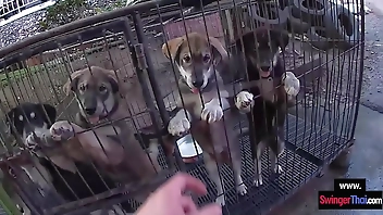 Amateur Asian teen GF sucks her boyfriends big dick back in the hotel