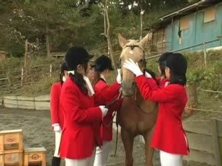 Experience the Ultimate XXX Nippon Fuck Fest in the Stable