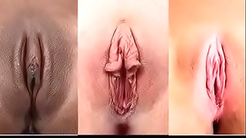 Tipos y figuras de vajinas