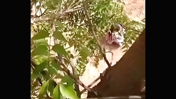 Desi aunty pissing voyeur - 2