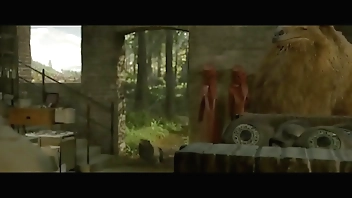 Animais pai d'éguas e onde fodem