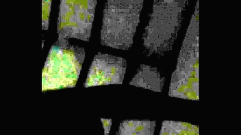 MOANS FROM MY FRIEND IN THE ROOM NEXT DOOR WHILE HUSBAND NAILS IT. LEAVE THE CELL PHONE UNDER THE BED RECORDING